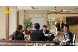 黄岛为什么选择专业追讨公司来处理您的债务纠纷？